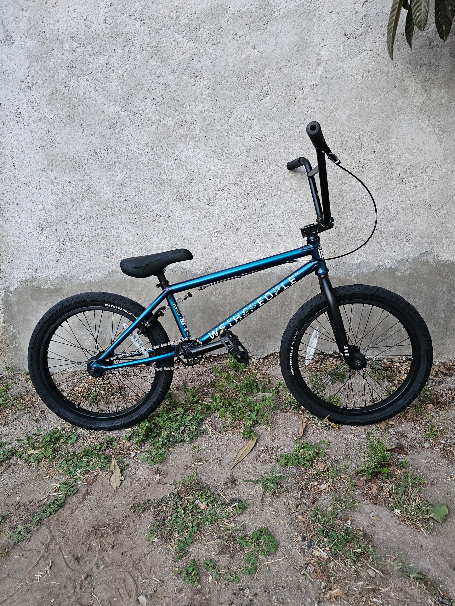 Wtp arcade 20.5