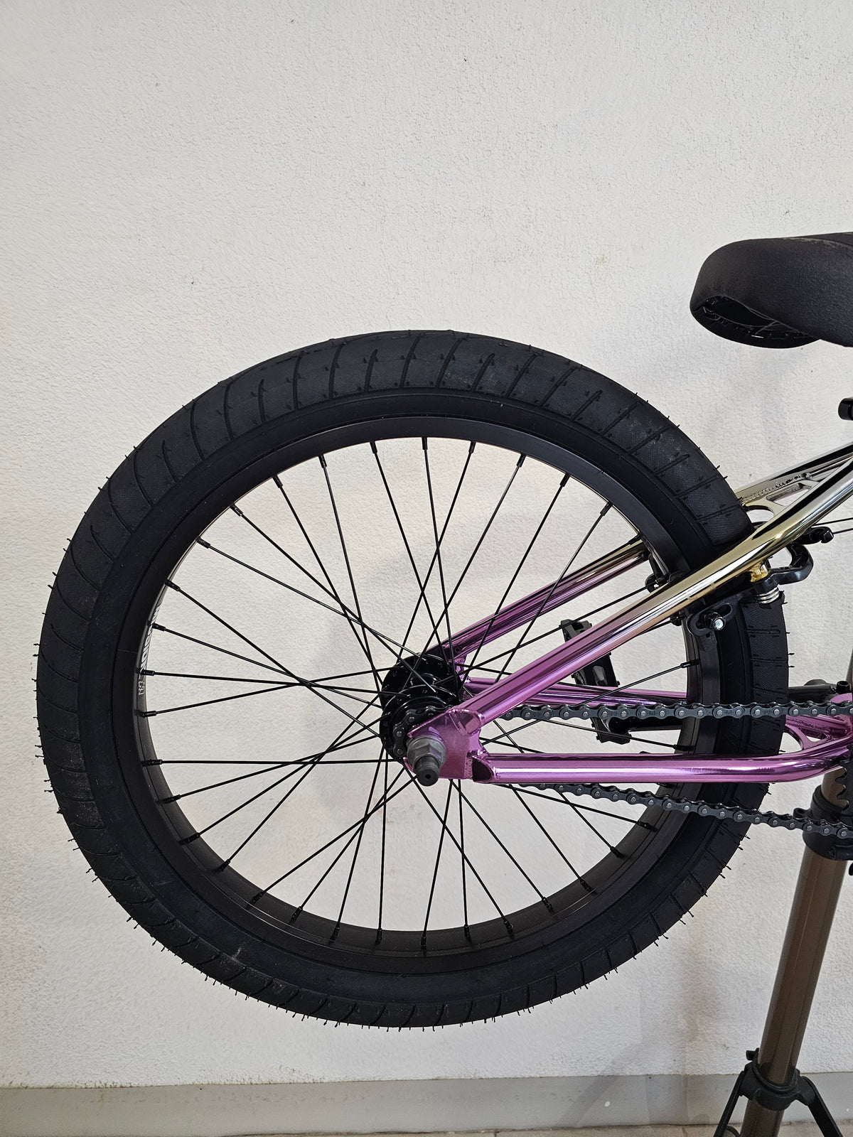 kink launch 2027 edicion limitada
