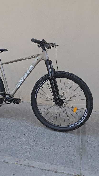 Green plus 29"  mtb climber 1.0