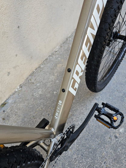 Green plus 29"  mtb climber 1.0