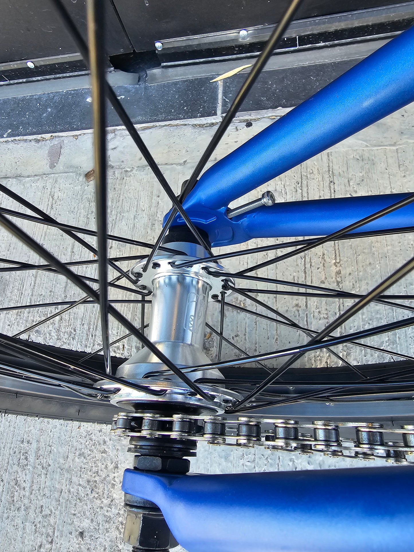 vg bikes custom