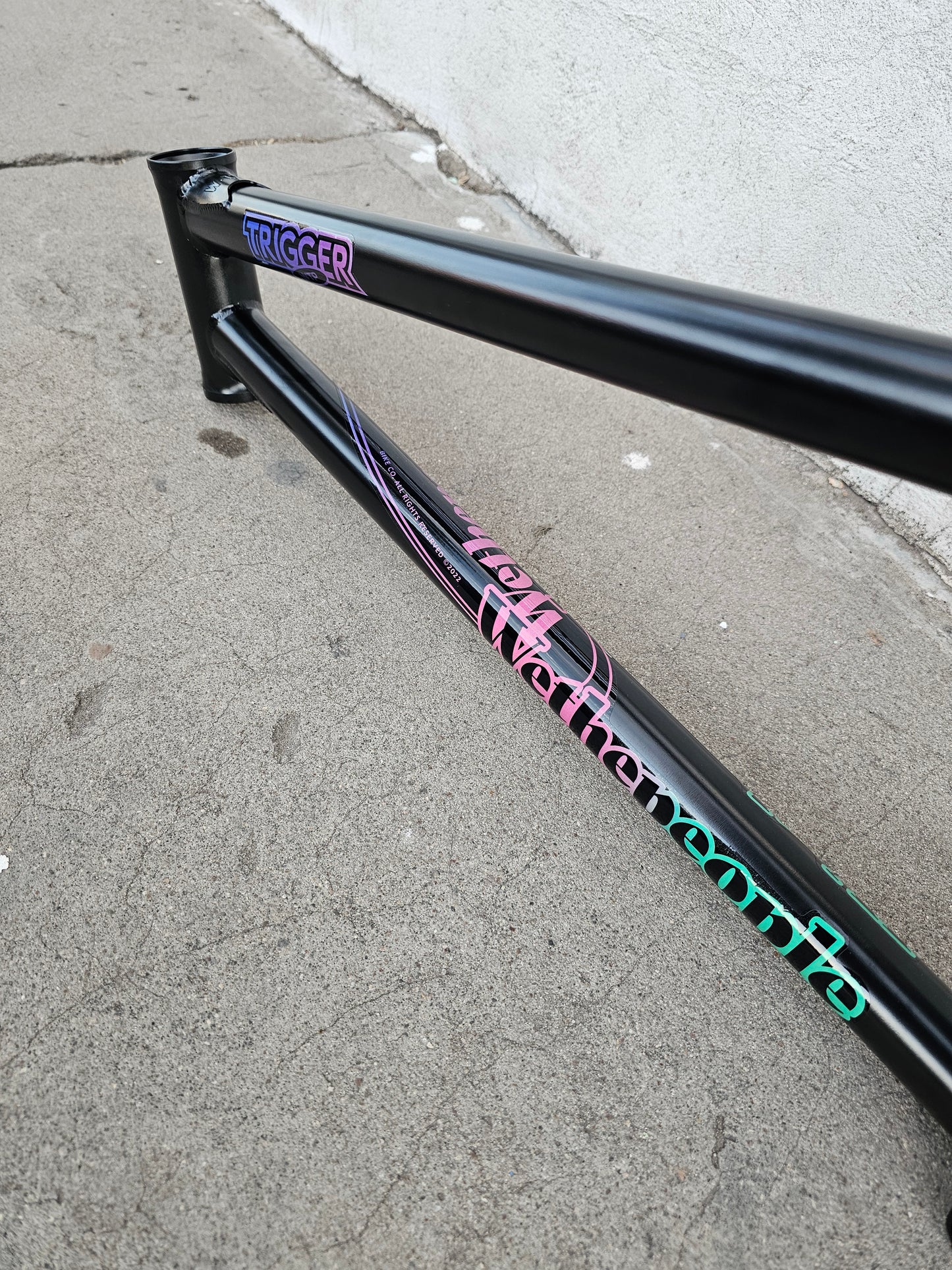 wtp trigger 21"