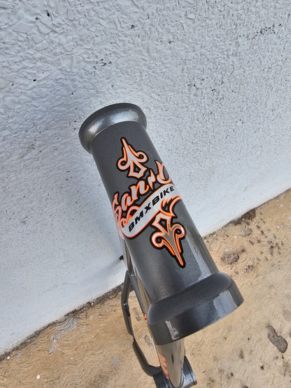Cuadro Boston san do 20.5