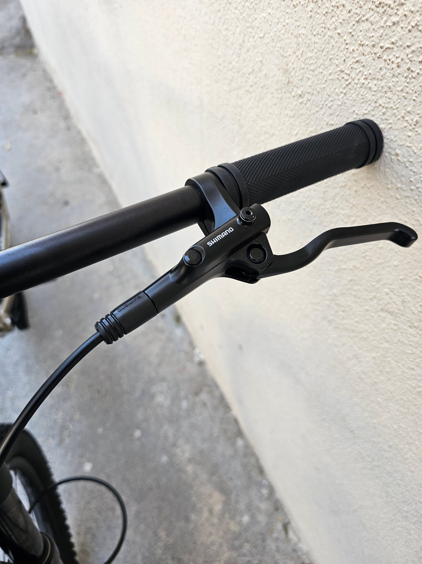 Green plus 29"  mtb climber 1.0