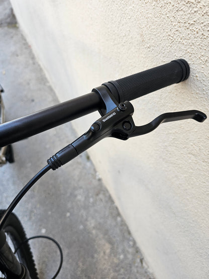 Green plus 29"  mtb climber 1.0